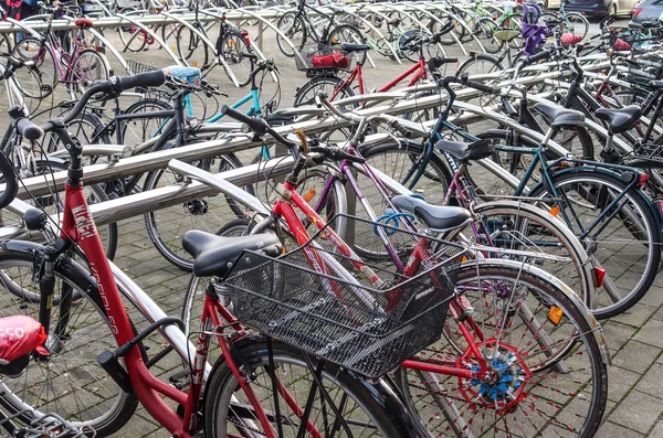 Schleswig Holstein Deutschland Januar 2020 Fahrräder Auf Einem Parkplatz — Stockfoto