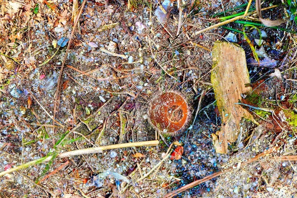 Vista Ravvicinata Dettagliata Sulle Texture Del Suolo Della Foresta Autunnale — Foto Stock