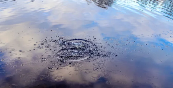 Water Splashes Ripples Water Surface Reflecting Blue Sky — 스톡 사진