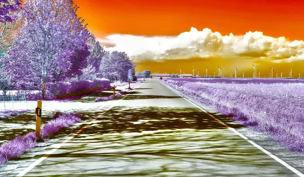 Όμορφη Μωβ Υπέρυθρη Λήψη Ενός Δρόμου Ένα Περιβάλλον Τοπίου — Φωτογραφία Αρχείου