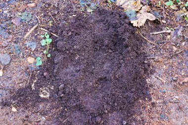 Tekerlek izleriyle tarımsal alanlarda ayrıntılı görüş