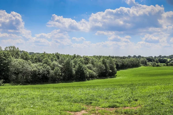Prachtig Groen Agrarisch Landschap Met Een Blauwe Lucht Wat Wolken — Stockfoto