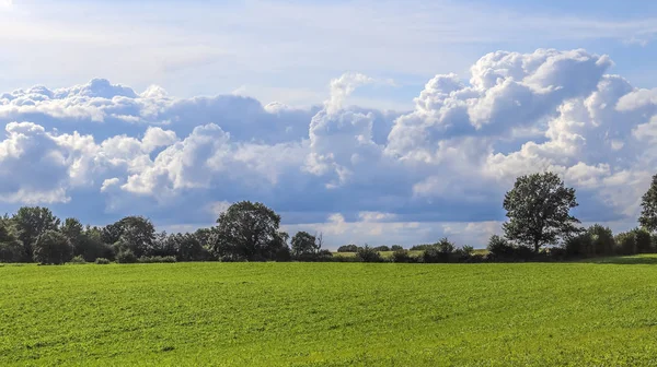 Bela Paisagem Agrícola Verde Com Céu Azul Algumas Nuvens — Fotografia de Stock
