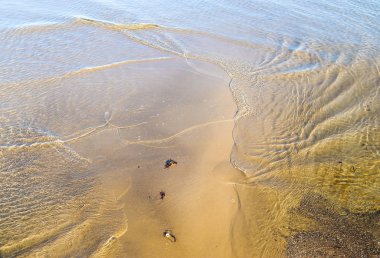 Baltık Denizi 'nin su yüzeyinde dalga ve yansımalarla detaylı bir görüş.