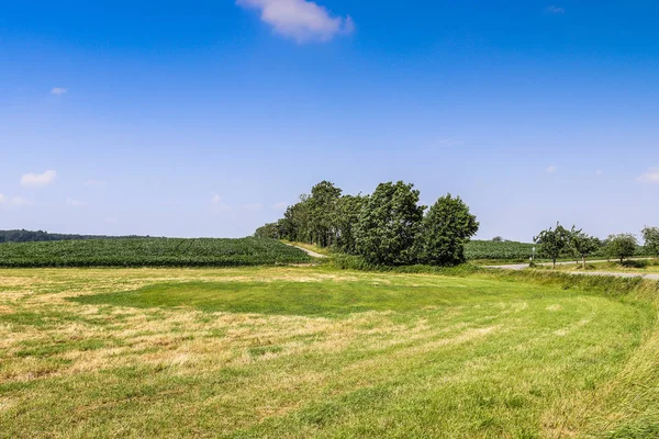 Prachtig Zomers Landschap Van Velden Met Gras Bomen — Stockfoto