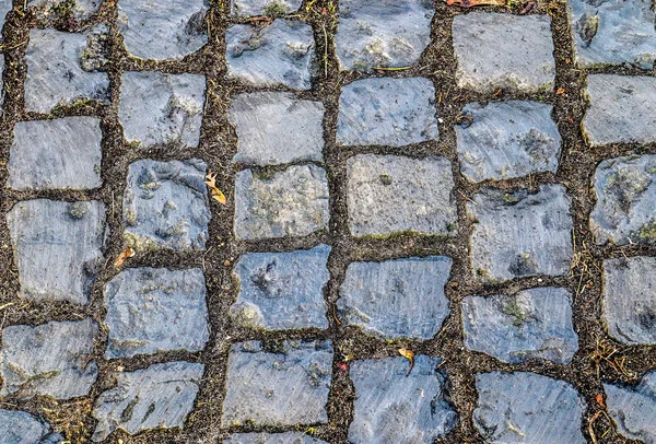 異なる視点での石畳のテクスチャに関する詳細なクローズアップビュー — ストック写真