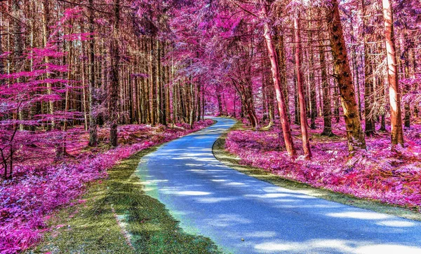 Belos Tiros Infravermelhos Rosa Roxo Uma Floresta — Fotografia de Stock