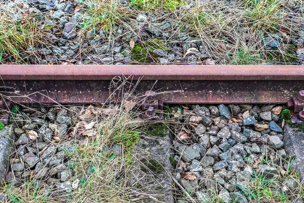 Voies Ferrées Anciennes Abandonnées Dans Paysage Nord Européen — Photo