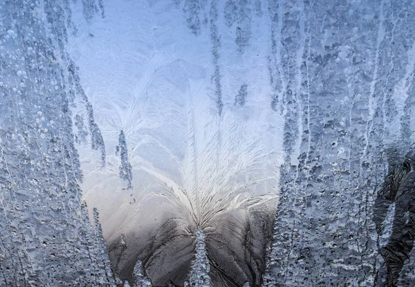 Piękne Lód Kwiaty Oknie Chłodny Zimowy Dzień — Zdjęcie stockowe