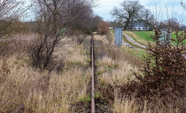 Vieilles Voies Ferrées Dans Environnement Paysager Nord Europe — Photo