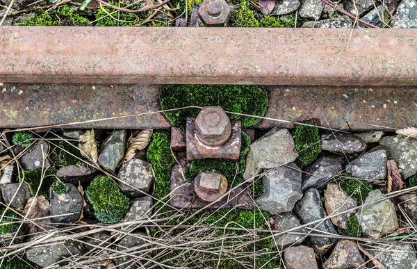 Vieilles Voies Ferrées Dans Environnement Paysager Nord Europe — Photo