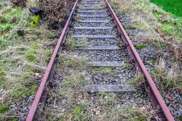 Gamla Och Övergivna Järnvägsspår Nordeuropeisk Miljö — Stockfoto