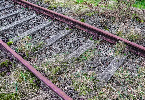 Voies Ferrées Anciennes Abandonnées Dans Environnement Nordique Européen — Photo