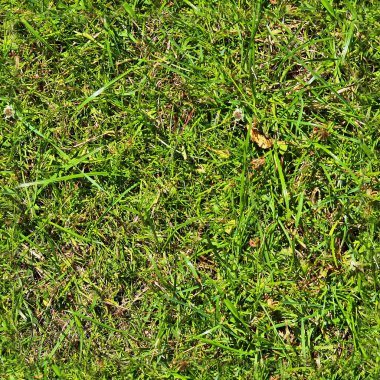 6 megapiksel 'den fazla yüksek çözünürlüklü fotogerçekçi çimen dokusu