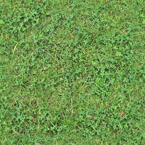 Foto Realista Textura Grama Sem Costura Alta Resolução Com Mais — Fotografia de Stock