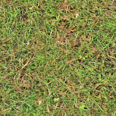 Yüksek çözünürlüklü foto gerçekçi yeşil çimen ve bitki dokusu