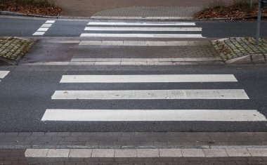 Şehir yolundan geçen zebraya yakından bakın.