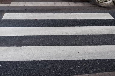 Şehir yolundan geçen zebraya yakından bakın.