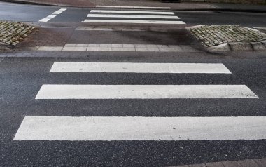 Şehir yolundan geçen zebraya yakından bakın.