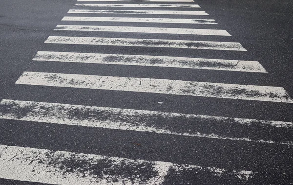 Şehir Yolundan Geçen Zebraya Yakından Bakın — Stok fotoğraf