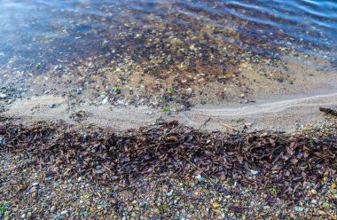 Küçük dalgalar ve güneş ışığı yansımalarıyla güzel pürüzsüz su yüzeyi dokusu