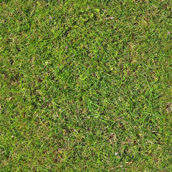 High Resolution Foto Realistic Seamless Texture Green Grass Plants — Stock Photo, Image