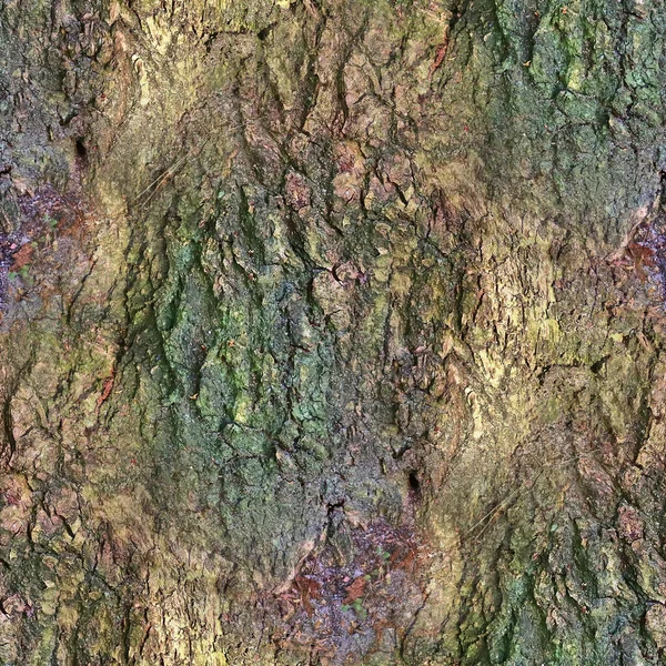 Детальна Повторювана Крупним Планом Текстура Кори Натурального Дерева — стокове фото