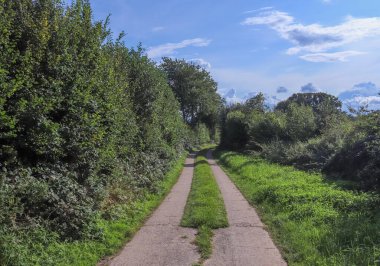 Yeşil bir çevrede kırsal sokaklara güzel bir bakış açısı