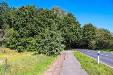 Yeşil bir çevrede kırsal sokaklara güzel bir bakış açısı
