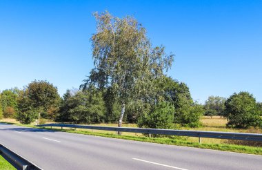 Yeşil bir çevrede kırsal sokaklara güzel bir bakış açısı