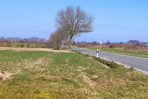 Bella Prospettiva Sulle Strade Rurali Ambiente Verde — Foto Stock