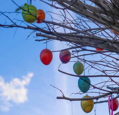 Güzel ve renkli Paskalya yumurtası süslemesi bir ağaçta asılı.