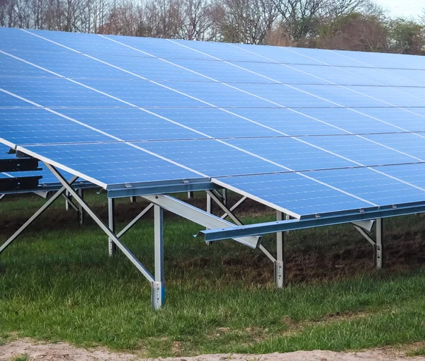 Saubere Energie Erzeugen Mit Solarmodulen Einem Großen Park Deutschland — Stockfoto
