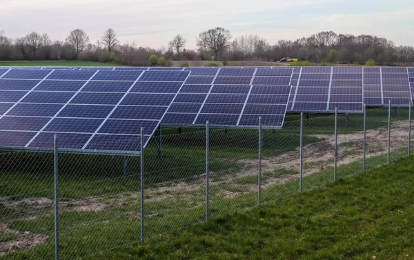 Saubere Energie Erzeugen Mit Solarmodulen Einem Großen Park Deutschland — Stockfoto