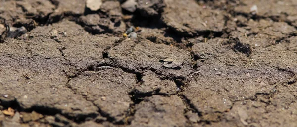 Vista Detallada Cerca Campos Agrícolas Con Orugas Tractores — Foto de Stock