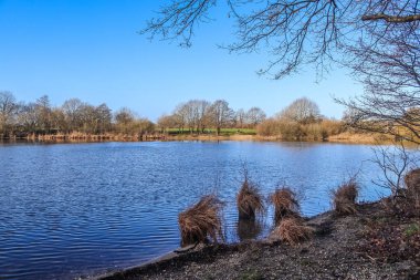 Güneşli bir günde güzel bir göl manzarası. Mavi bir gökyüzü ve su yüzeyinde yansımaları var.