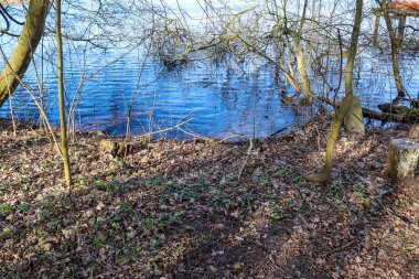 Güneşli bir günde güzel bir göl manzarası. Mavi bir gökyüzü ve su yüzeyinde yansımaları var.