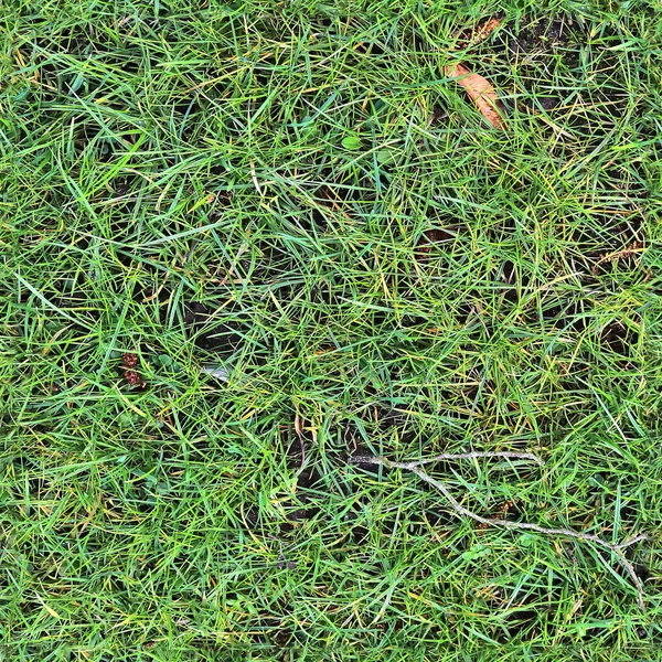 Высокое Разрешение Текстуры Зеленой Травы Поле — стоковое фото