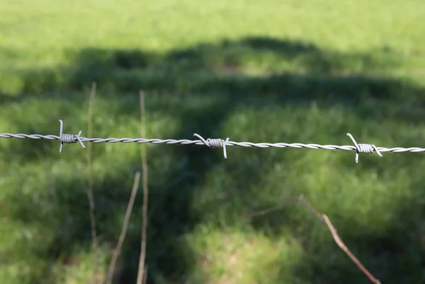 Vista Cerca Alambre Púas Campo Con Bokeh Suave Fondo — Foto de Stock