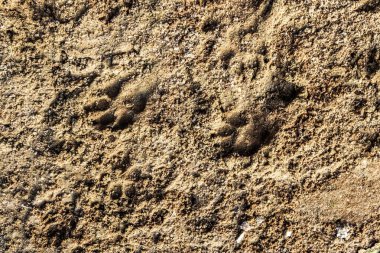 Yüksek çözünürlükteki kum zemininin yüzeyini ve dokularını kapat