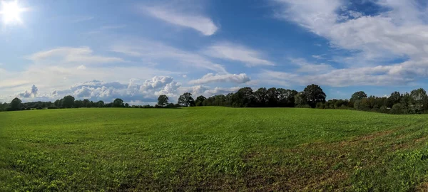Zelená Krajina Panoramatickém Výhledu Angrikulturní Pole Pampeliškami Modrou Oblohou Mraky — Stock fotografie