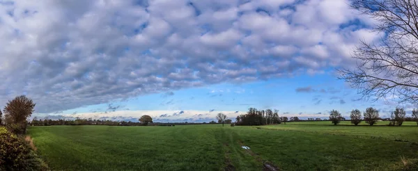 Zielone Pole Krajobraz Panoramicznym Widokiem Pole Gniewu Mniszkami Błękitne Niebo — Zdjęcie stockowe