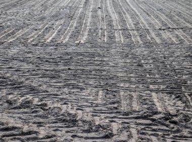 Kuraklık sırasında tarımsal alanlara traktör izleriyle yakından bakın.