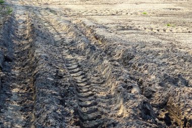 Kuraklık sırasında tarımsal alanlara traktör izleriyle yakından bakın.