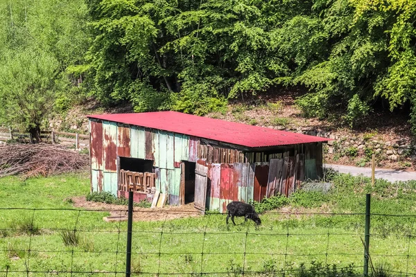 Old Aged Weathered Little Farmhouse Shed Green Field — Stock Photo, Image