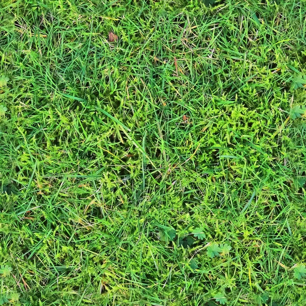 High Resolution Foto Realistic Seamless Texture Green Grass Plants — Stock Photo, Image