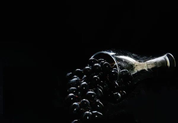 Auf Schwarzem Hintergrund Fällt Eine Traube Schwarzer Trauben Aus Einem — Stockfoto