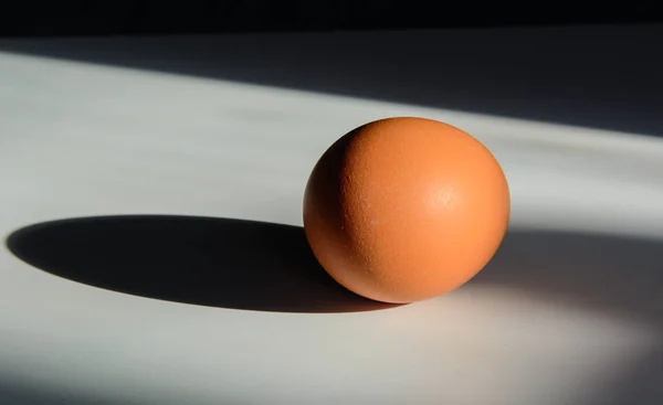 Hühnerei Beleuchtet Von Der Sonne Wirft Das Einen Tiefen Schatten — Stockfoto