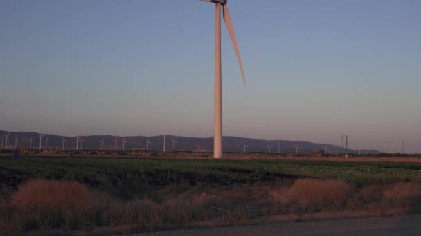 Campo Turbinas Eólicas Plena Capacidade — Vídeo de Stock