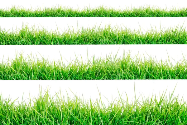 Fronteira de grama verde isolada no fundo branco . — Fotografia de Stock